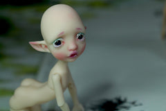 Pocket Mystery elf fullset edition