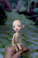 Pocket Mystery elf fullset edition