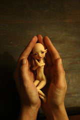 Pocket Mystery elf fullset edition