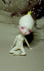 Pocket Onion