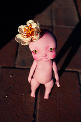 Cerise the baby cherry!