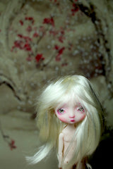 Xmas In Stock Pocket Onion
