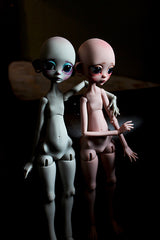 Lemur The Goodbye preorder!