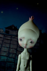 Onion In Stock