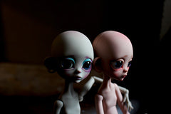 Lemur The Goodbye preorder!
