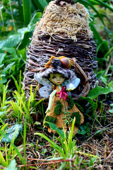 Pigoo the pocket flying grook!
