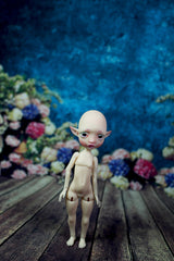 In Stock Pocket Mystery elf