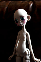 Lemur In Stock
