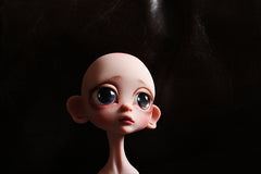 Lemur In Stock