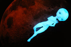 Nancy Luna, pocket Moon & Very limited edition big Moon