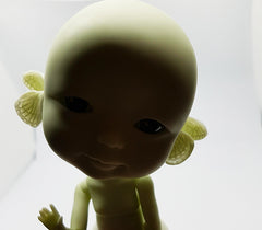 Whybe, the fluttering dream.