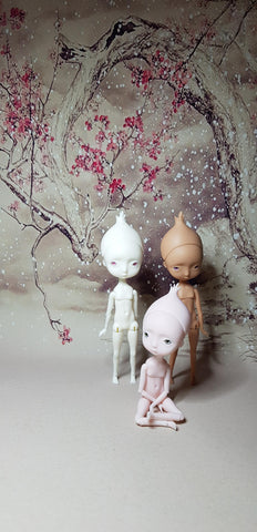 Pocket Onion