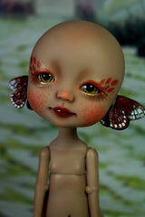 Whybe, the fluttering dream.