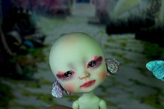 Whybe, the fluttering dream.