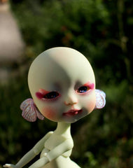 Whybe, the fluttering dream.