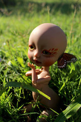 Whybe, the fluttering dream.
