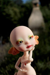 Whybe, the fluttering dream.