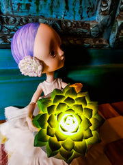 Princess Succulents