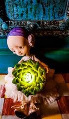 Princess Succulents