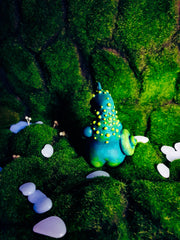 Wuhu, magical familier from the fireflies forest