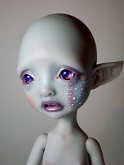 Xmas Mystery Elf