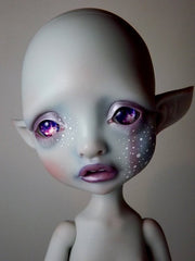 Xmas Mystery Elf